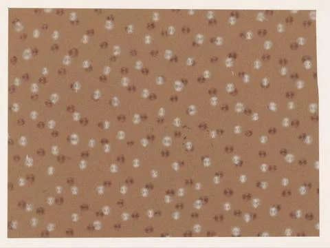 RECORD DATE NOT STATED  Brown and white round lint pattern on brown paper,... Stock Photos