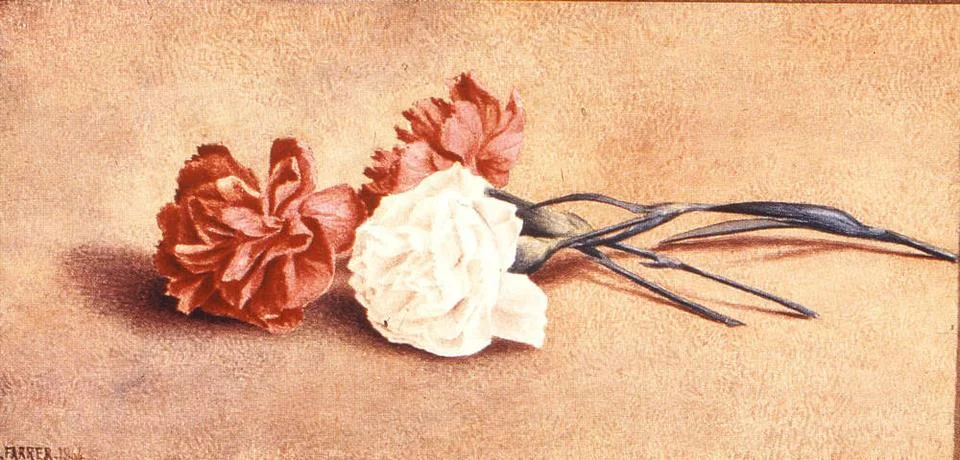 RECORD DATE NOT STATED Carnations Henry Farrer (American, 1843-1903). Carn... Stock Photos