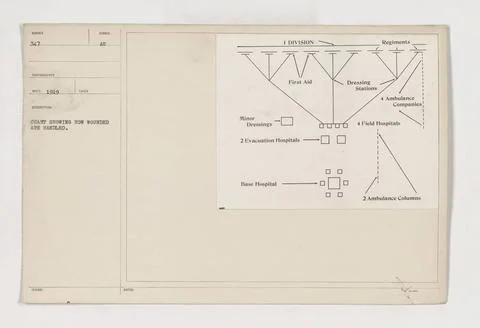 RECORD DATE NOT STATED  This chart shows the process of how wounded soldie... Stock Photos