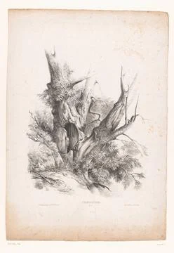 RECORD DATE NOT STATED  Chestnut tree, Jules Coignet, 1828 print Paris pap... Stock Photos