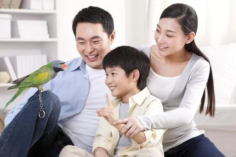 RECORD DATE NOT STATED Chinese family playing with a pet parrot Beijing Ch... Stock Photos