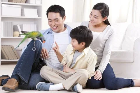 RECORD DATE NOT STATED Chinese family playing with a pet parrot Beijing Ch... Foto stock