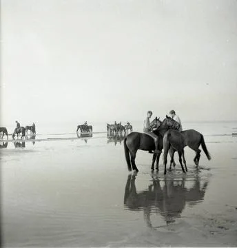 RECORD DATE NOT STATED Conscripts on the beach with their horses. Norrland... Stockfoto's