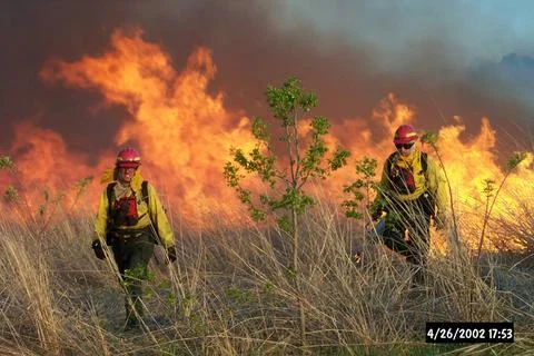 RECORD DATE NOT STATED  Creator: Bombay Hook NWR. Subjects: Fire; prescrib... Fotos Stock