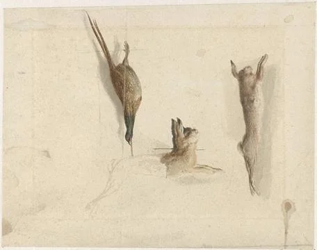 RECORD DATE NOT STATED  Dead pheasant and two dead hares, Reinier Craeyvan... Stock Photos