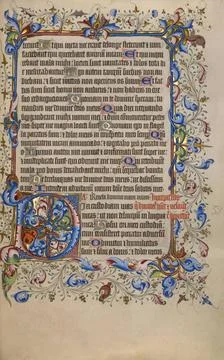 RECORD DATE NOT STATED Decorated Initial D. Unknown Copyright: xpiemagsx g... Foto stock