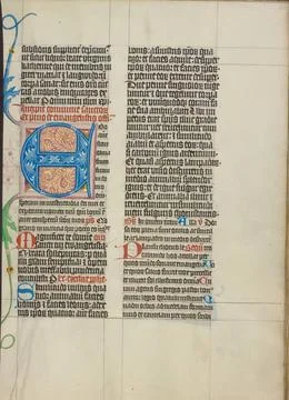 RECORD DATE NOT STATED Decorated Initial E. Master Michael (Austrian, acti... Foto stock