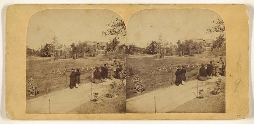 RECORD DATE NOT STATED Deep Park &amp; Casino, Central Park, New York City. De... Fotos Stock