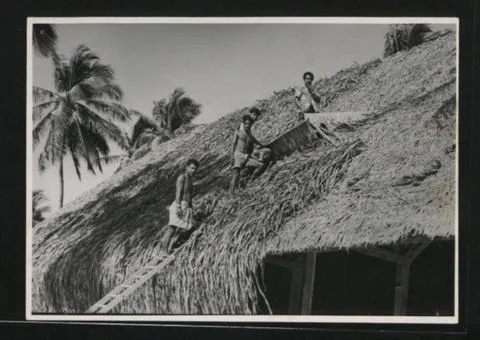 RECORD DATE NOT STATED  Description: Thatching a Maneaba - The traditional... Stock Photos