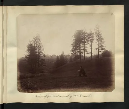 RECORD DATE NOT STATED  Description: View of general aspect of the island.... Stock Photos