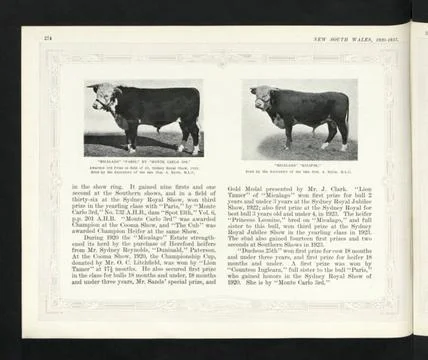 RECORD DATE NOT STATED  Description: Micalago Paris, by Monte Carlo 3rd. A... 스톡 사진