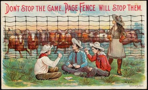 RECORD DATE NOT STATED Don t stop the game. Page fence will stop them. , A... Stock Photos