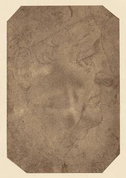 RECORD DATE NOT STATED Drawing of a Man s Head by Leonardo da Vinci. Roger... Stock Photos
