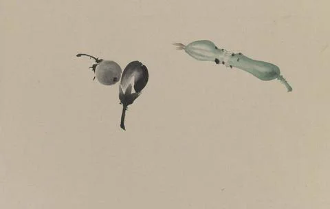 RECORD DATE NOT STATED Drawing of Fruit , 18th-19th century. Ink and color... Stock Photos