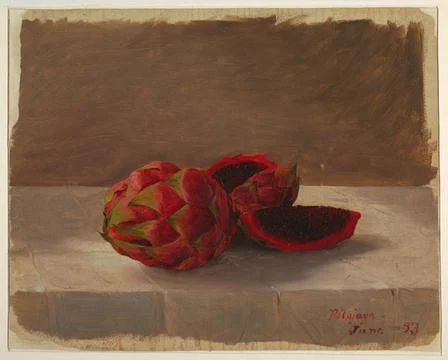 RECORD DATE NOT STATED Drawing, The Pitajaya Fruit, Columbia; Frederic Edw... Stock Photos