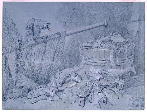 RECORD DATE NOT STATED Drawing, Still-life of Fish, with Parrot; Jean-Bapt... 스톡 사진