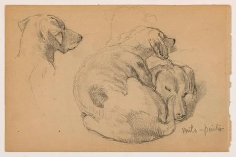 RECORD DATE NOT STATED Drawing, Sketches of Milo (a Pointer); Daniel Hunti... Stock Photos