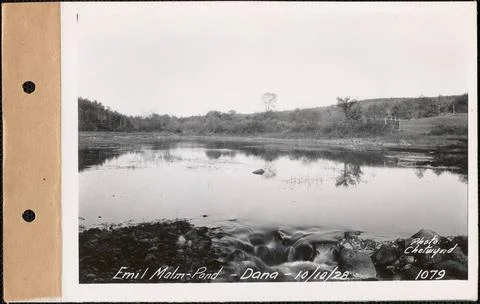 RECORD DATE NOT STATED Emil Malm, pond, Dana, Mass., Oct. 10, 1928 : Parce... Photos