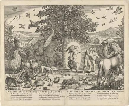 RECORD DATE NOT STATED  Expulsion from Paradise, anonymous, after Nicolaes... Stock Photos