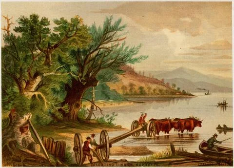 RECORD DATE NOT STATED Floating timber, Meredith , Mountains, Bodies of wa... Stock Photos