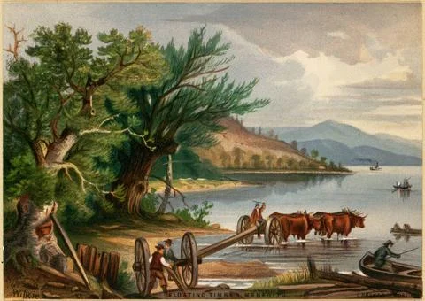 RECORD DATE NOT STATED Floating timber, Meredith , Mountains, Bodies of wa... Stock Photos