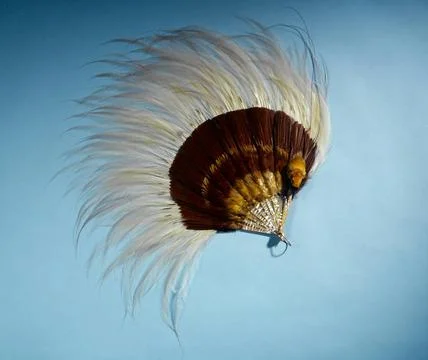 RECORD DATE NOT STATED  Folding range. Face in feathers of yellow and brow... Stock Photos