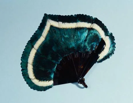 RECORD DATE NOT STATED  Folding range. Face in the feathers of lophophore ... Stock Photos