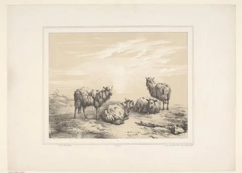 RECORD DATE NOT STATED  Four Sheep, Eugene Verboeckhoven, 1844 print Paris... Stock Photos