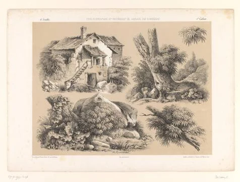 RECORD DATE NOT STATED  Four Studies of Landscape Elements, Henri Boisseau... Stock Photos