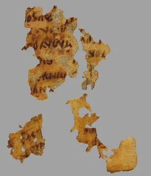 RECORD DATE NOT STATED  Four fragments of the folio of the Code; unknown s... Photos