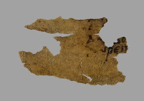 RECORD DATE NOT STATED  Fragment of the folio of the code; unknown scripto... Photos