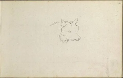RECORD DATE NOT STATED  Friedrich Gauermann Sketch of a wolf head. Pencil ... Stock Photos