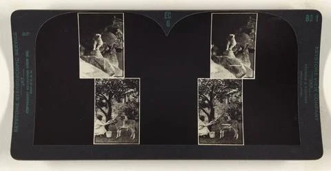 RECORD DATE NOT STATED Fusing the upper pictures requires 2 prism diopters... 写真素材