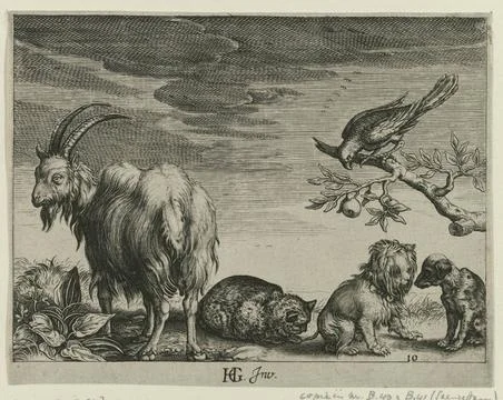 RECORD DATE NOT STATED  Goat, cat, two dogs and a parrot, anonymous, after... Stock Photos