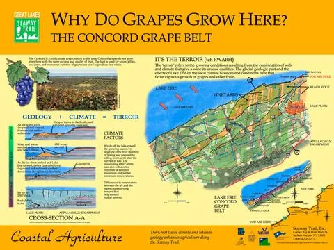 RECORD DATE NOT STATED Great Lakes Seaway Trail - Interpretive Grape Sign ... Stock Photos
