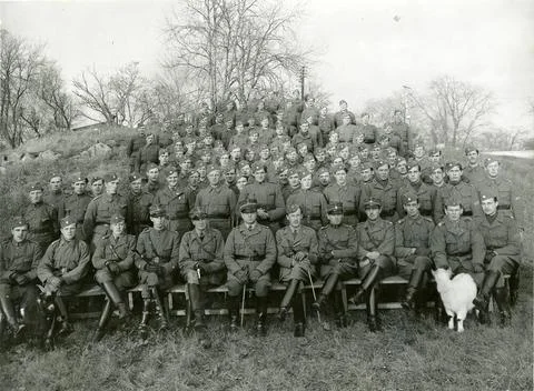 RECORD DATE NOT STATED Group portrait of commanders and conscripts at the ... Stock Photos