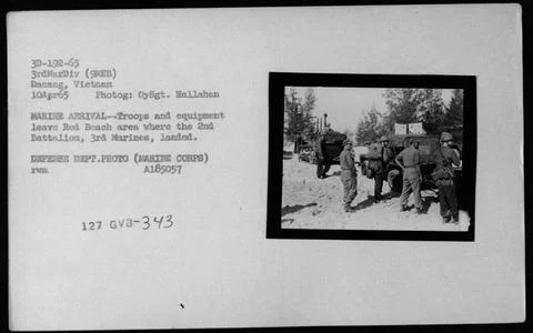 RECORD DATE NOT STATED  A group of American military vehicles are seen par... Stock-Fotos