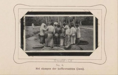 RECORD DATE NOT STATED  Group Women stamps coffee fruits in Java, Anonymou... Stock Photos