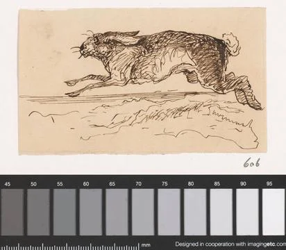 RECORD DATE NOT STATED  Haas, Johannes Tavenrate, 1869 drawing Hare. Signe... Stock Photos