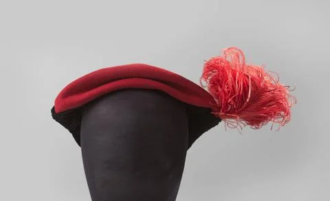RECORD DATE NOT STATED  Hat in a flat PET shape of red sheet and on the si... 写真素材