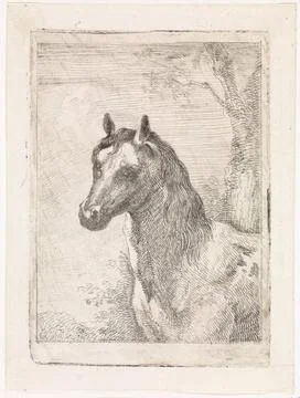 RECORD DATE NOT STATED  Head of a horse, Aert Schouman (Possible), After P... Stock Photos