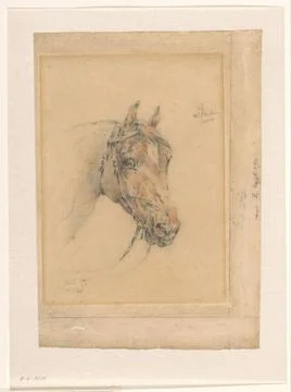 RECORD DATE NOT STATED  Head of the Horse Pluto, Wouter Verschuur (1841-19... Stock Photos