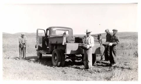 RECORD DATE NOT STATED How Sod is Cut and Transported. 1931 - 1945. Centra... Stock Photos