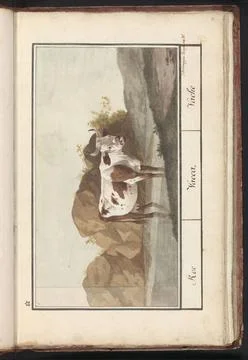 RECORD DATE NOT STATED  Koe (Bos Taurus), J. Brewghe, 1790 - 1814 drawing ... Stock Photos