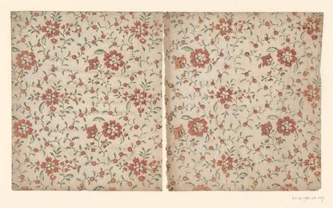 RECORD DATE NOT STATED  Leaf with spreading pattern of flowers with fruits... Foto stock