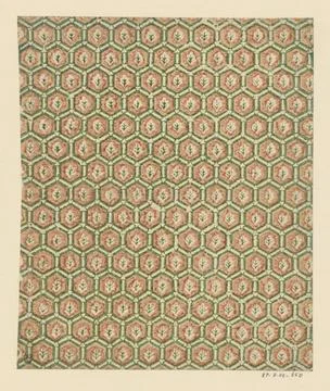 RECORD DATE NOT STATED  Leaf with honeycomb pattern of hexagons with branc... Foto stock
