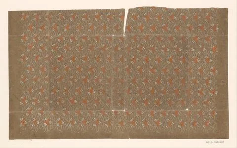 RECORD DATE NOT STATED  Leaf pattern of grape ventros between dotted lines... Stock Photos