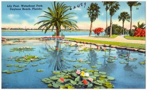RECORD DATE NOT STATED Lily Pool, Waterfront Park, Daytona Beach, Florida ... Fotos de archivo