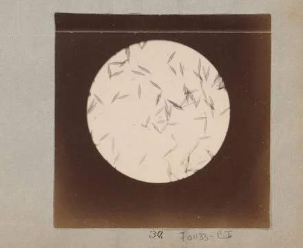 RECORD DATE NOT STATED  Microscopic absorption of an unknown structure, en... Stock Photos