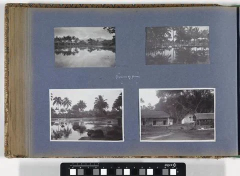 RECORD DATE NOT STATED  More with palms and houses at Tjisoeroepan on Java... Fotos Stock